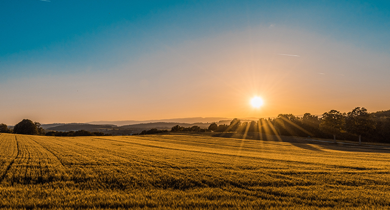 qm球盟会网站使命