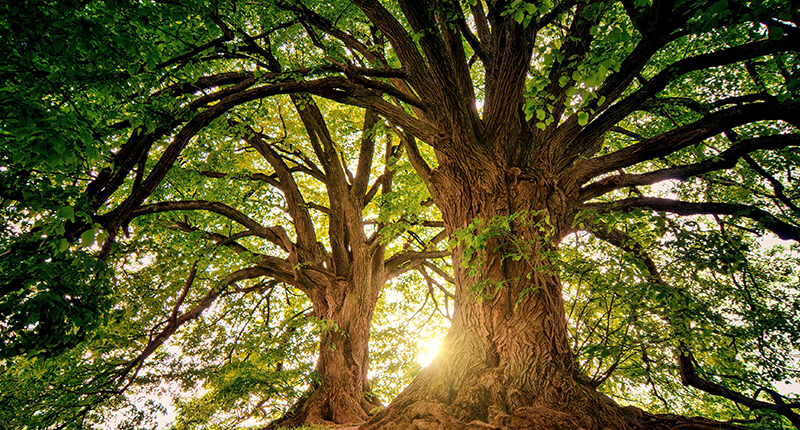 qm球盟会网站底蕴